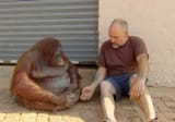 Oshine is offered a hand in friendship