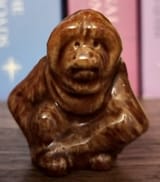 pongo pottery