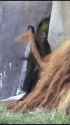 1704521343_thumb.jpg