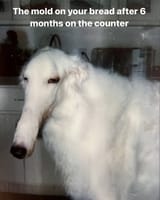 1716197659068600