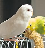 IMG_20250428_182857_1