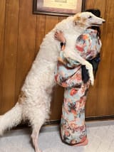 hugs
