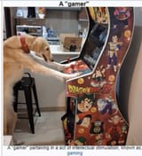 gamerzoi