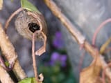 IMG_20250513_190718390