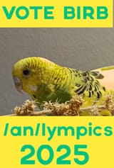 VAPORGRAM_IMG_1747088959332