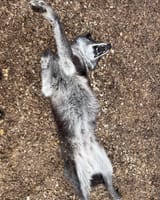 stretching