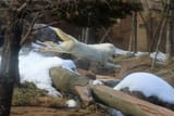 long boi jump