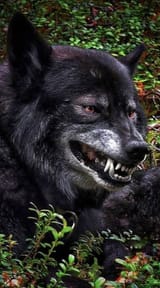 evil smile