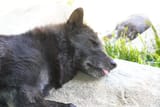 sleep