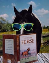 horse book