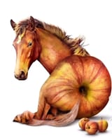 Realhorse