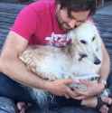 portable borzoi_thumb.jpg