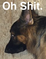 OhShit