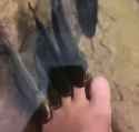 toe fishing_thumb.jpg