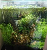 IMG20250528121425