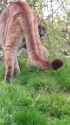 1720180678162982_thumb.jpg