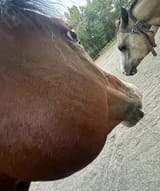 GdwSNr5WoAAvDKY