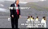 jghbfft_penguin-memes_625x300_04_April_25-791839092