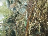 IMG_20250531_180222454