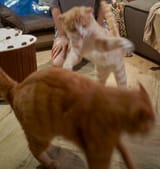 IMG_1032