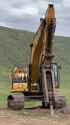 big_cat_thumb.jpg