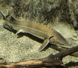 IMG_20250602_160810