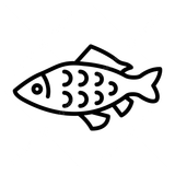 pngtree-carp-line-icon-png-image_9088744