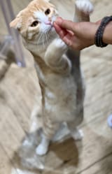 IMG_1093