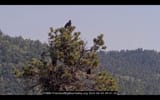 2025-06-03_09.01.30