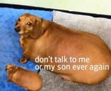 1602238603671