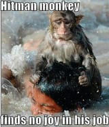 Hitman_monkey