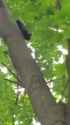 1607571828069_thumb.jpg