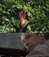 jurassic park horse