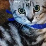 FB_IMG_1739575368198