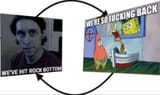 schizo cycle