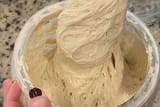 pet-yeast2