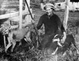 Wilf_Batty_last_wild_Thylacine