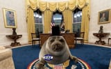 nikopresident