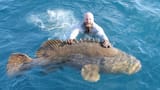 grouper