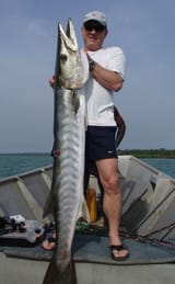 barracuda