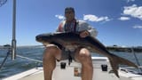 20220928-news-nef-COBIA