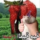 1630285570198