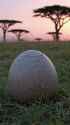 Hyena Hatching from an Egg_thumb.jpg