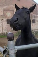 1733688062471589