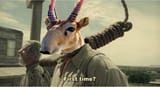 saiga about extinction