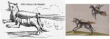 16th-century-cat-weapon (1)