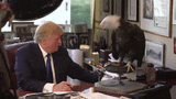 WHERESMYFREEDOMMOTHERFUCKER