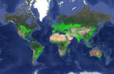 Globe-4g