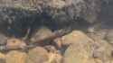 1000002133 (1)_thumb.jpg