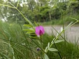 PXL_20250518_215141582